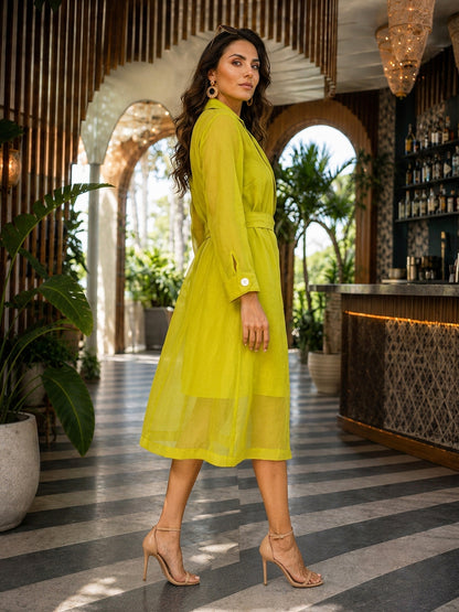 KoraKanvas Lime Light Organza Jacket Dress Set 2