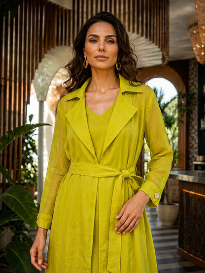 KoraKanvas Lime Light Organza Jacket Dress Set 4